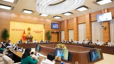 Toàn cảnh Phiên họp