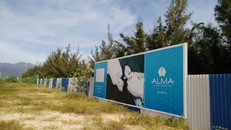 Nhân viên cũ của ALMA cũng lên tiếng về việc phải ngậm trái đắng 