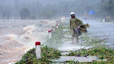 Dự báo từ giờ đến cuối năm 2017 còn khoảng 4-5 cơn bão và áp thấp nhiệt đới trên biển đông. 