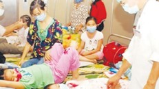 Biến đổi khí hậu làm 250.000 người tử vong mỗi năm