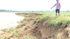 Ông Phạm Đức Thiện - Trưởng thôn Quan Phác dẫn phóng viên đến điểm sạt lở