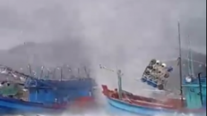 Vòi rồng cao khoảng 5 - 10m