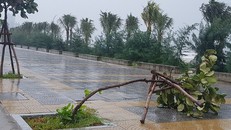 Mưa lớn kéo dài khiến ven biển Đà Nẵng thiệt hại nặng