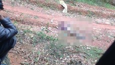 Hiện trường vụ việc.