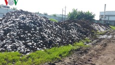 Ao chứa nước đen kịt từ nhà máy đường.