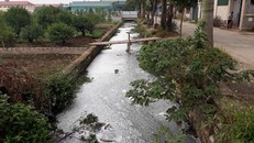 Nước thải làm mương thoát nước ô nhiễm trầm trọng, nổi đầy bọt trắng và bốc mùi xú uế.