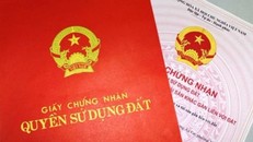 Giấy đỏ ghi tên cả gia đình: Hay và dở