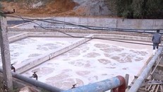 Bể xả của Cty Nguyên Hồng, gây ô nhiễm nghiêm trọng