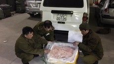 Nầm lợn cấp đông bị lực lượng chức năng phát hiện và bắt giữ