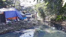 Sông Cầu Đá đoạn chảy qua phường Cổ Nhuế 1 và phường Xuân Đỉnh thường xuyên có màu đen đặc, bốc mùi hôi thối