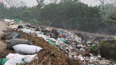 Hà Nội: Người dân khổ sở sống chung với rác
