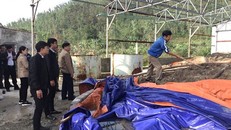 Cơ quan chức năng tiến hành vận chuyển đất, nước nhiễm hóa chất