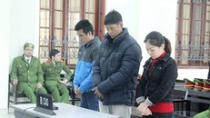 Các bị cáo trong phiên xét xử 