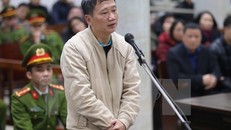 Bị cáo Trịnh Xuân Thanh. Ảnh: TTXVN