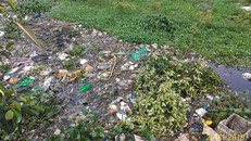 Người dân gần cầu Mỹ Thuận ở Sài Gòn kêu cứu vì kênh ngập ngụa rác