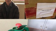 Bắt giữ đối tượng dùng thuốc trừ cỏ phá hoại hàng trăm cây quất tết