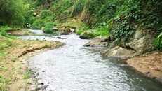 Nước suối đổi màu do nước thải nhà máy. Ảnh PLVN