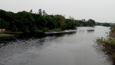 Nước cả dòng sông Cửu An, khu vực xã Tân Trào đen đặc, bốc mùi khó chịu.