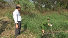 Cán bộ Phòng Cảnh sát Môi trường lấy mẫu nước thải giám định. Ảnh: Báo Công an Nhân dân