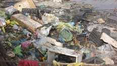 Bờ sông đầy rác sau mỗi phiên chợ