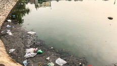 Từ ngày 23 tháng Chạp, nhiều người dân khu vực quận Hà Đông chọn hồ Văn Quán là nơi thả cá chép trong ngày Tết ông Táo