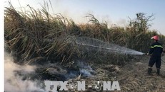 Hiện trường vụ cháy. 