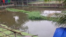 Khu vực ao -nơi phát hiện thi thể anh Luyện