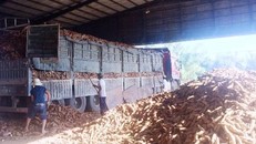 Bình Định: Lén lút xả thải ra sông, 1 công ty bị phạt gần 1,8 tỉ đồng