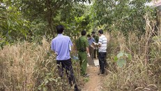Phát hiện thi thể nam giới đang phân hủy trong rẫy điều