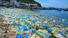 Rác lớp lớp dày đặc, kéo một vệt dài ngay khu vực mặt tiền của đảo Bình Ba 