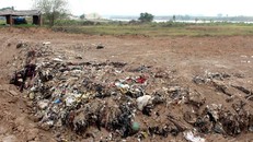 Rác được chôn lấp với khối lượng lớn.