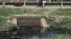 Nước đen lan rộng trên nhiều kênh rạch ở huyện Bình Chánh thời gian gần đây. Ảnh: TL