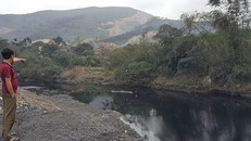 Một đoạn sông Diễn Vọng có nước đen như dầu thải