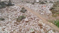 Mưa đá phủ trắng nương rẫy tại huyện Hà Quảng.