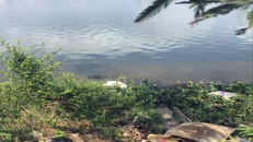 Hiện trường nơi phát hiện vụ việc.