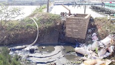 Rác và nước thải từ hồ tôm ở thôn Công Lương (xã Hoài Mỹ) xả thẳng ra kênh mương