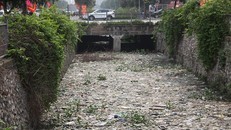 Dòng sông đầy rác khiến nhiều người kinh sợ khi đi qua