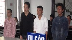 Các bị cáo tại tòa