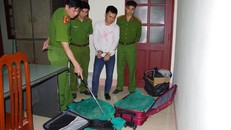 Toàn bộ số lượng cá thể rắn bị lực lượng chức năng bắt giữ.