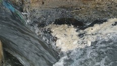 Nước cống xả trực tiếp ra biển