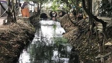 Đoạn sông Cầu Đá chạy qua ngõ 579 Phạm Văn Đồng gây ô nhiễm