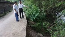 Bờ sông Cầu đoạn qua xóm Cô Dạ, xã Bảo Lý (Phú Bình) đã bị sạt lở đến sát mép đường bê tông, gây nguy hiểm cho người dân