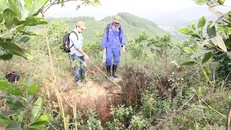 Vết nứt rộng và sâu kéo dài 1 km từ phía bắc sang phía nam núi Tán.