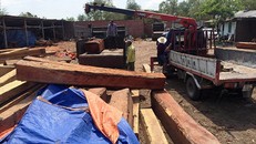Số gỗ bị công an tịch thu. Ảnh Zing.