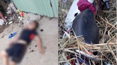 Hiện trường vụ việc.