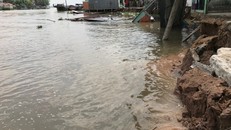 Sạt lở nghiêm trọng lại xảy ra ở khu vực Thới Lợi, P.Thới An, Q.Ô Môn, Cần Thơ. (Ảnh: Thanh niên)