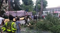 Vụ tai nạn khiến nhiều người vô cùng bàng hoàng 