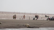 Bờ biển ấp Hồ Thùng (xã Đông Hải, huyện Duyên Hải, tỉnh Trà Vinh) - nơi người dân phát hiện cá chết trôi dạt vào