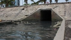 Nước thải sinh hoạt hôi thối hằng ngày đổ thẳng ra vịnh Hạ Long qua hàng chục cửa cống nằm trải dài trên tuyến đường bao biển quanh TP.Hạ Long. Ảnh: NGUYỄN HÙNG