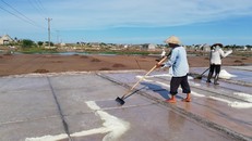 Diêm dân Hải Lý thu hoạch muối sau 1 ngày vất vả